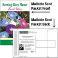 Morning Glory / Mailable Seed Packet - Custom Printed Back